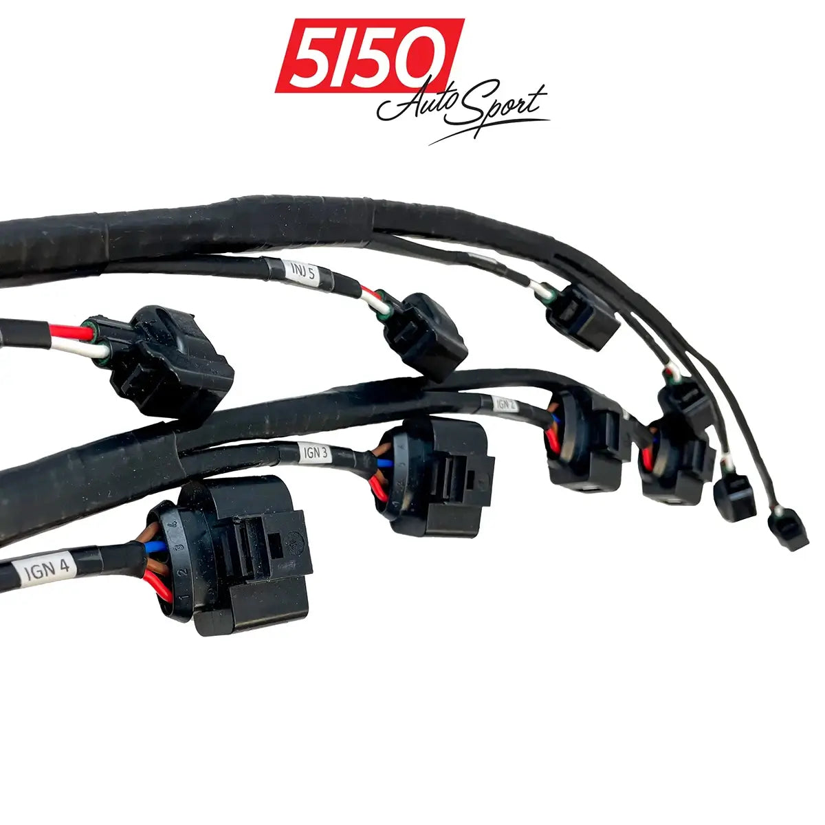 Custom BMW Engine Wiring Harness Ignition and Fuel Injection