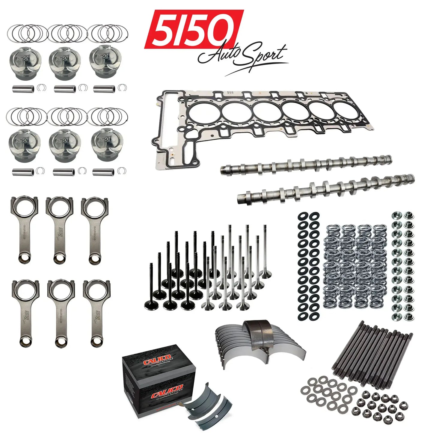 Complete BMW N55 Engine Build with Forged Internals