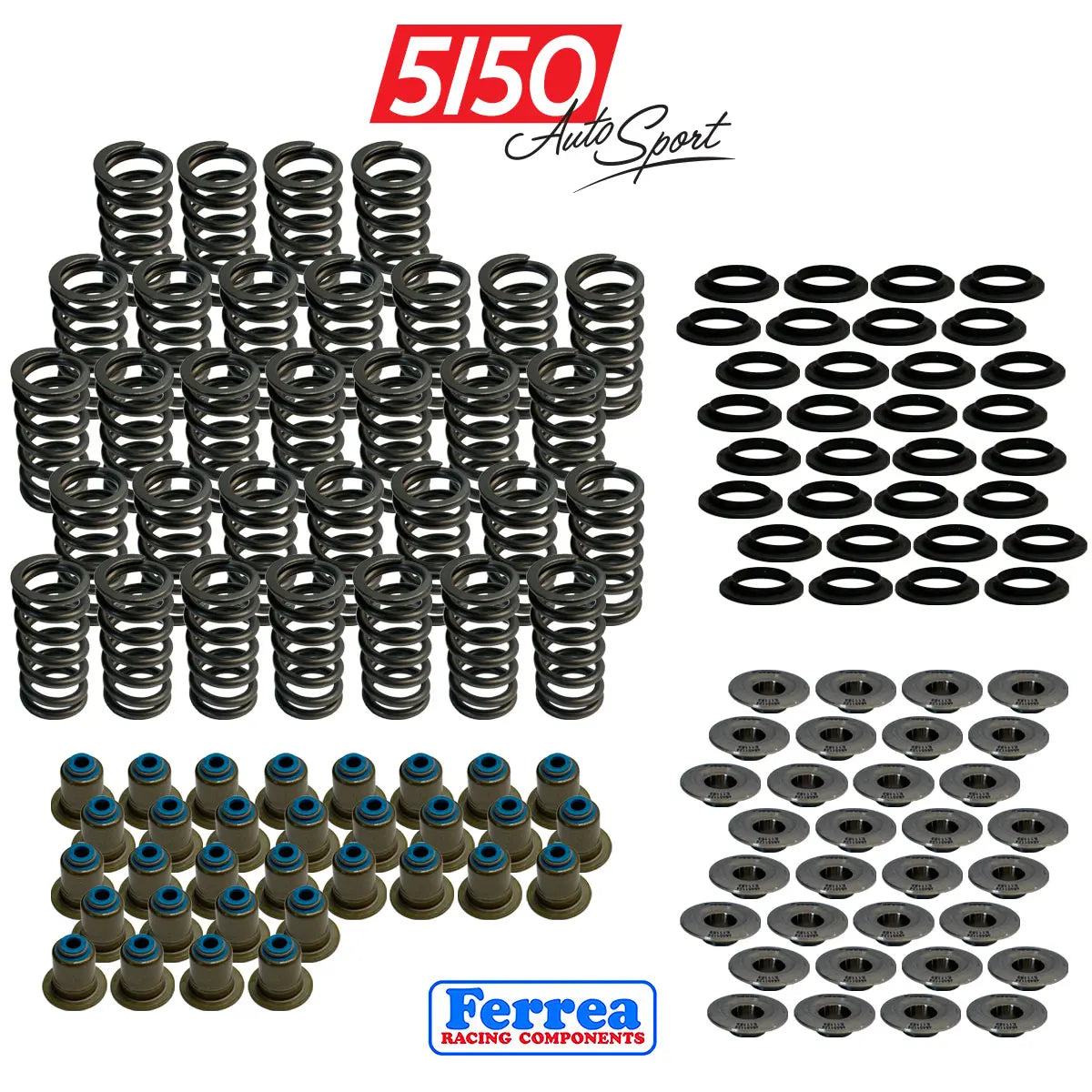 BMW N63 Valve Spring Kit by Ferrea
