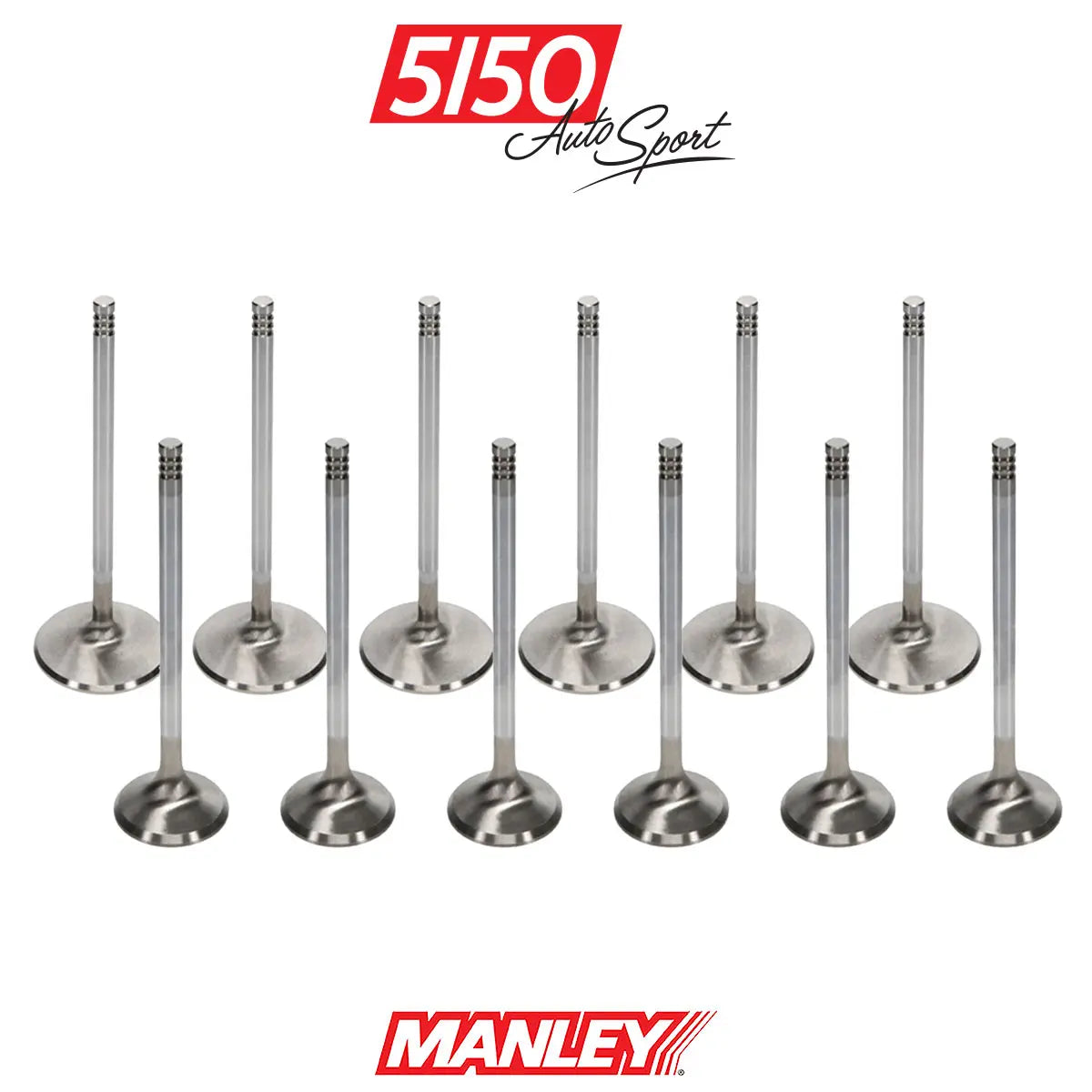 BMW M30 Valve Set