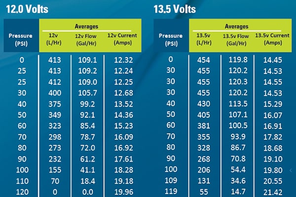 Walbro F90000274 Fuel Pump