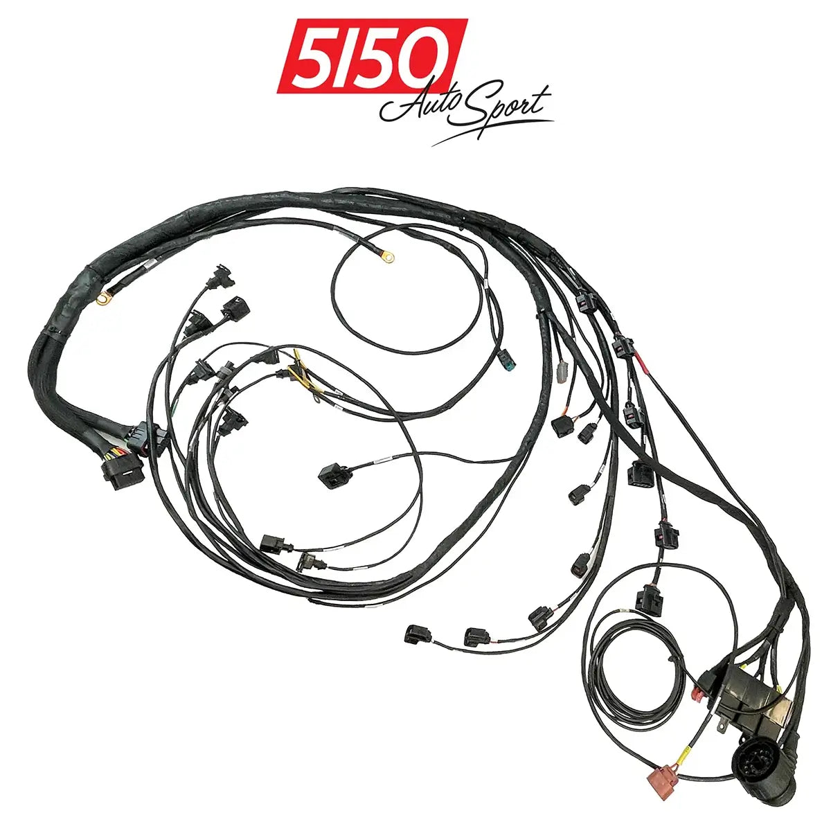 Custom Engine Harness BMW E36 Engine Swap