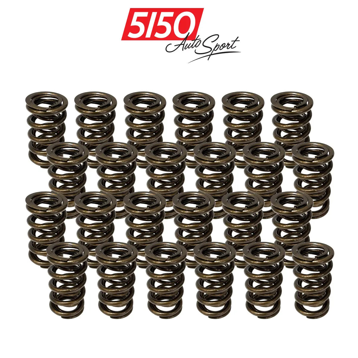 11,000 RPM Valve Spring Kit for BMW S54
