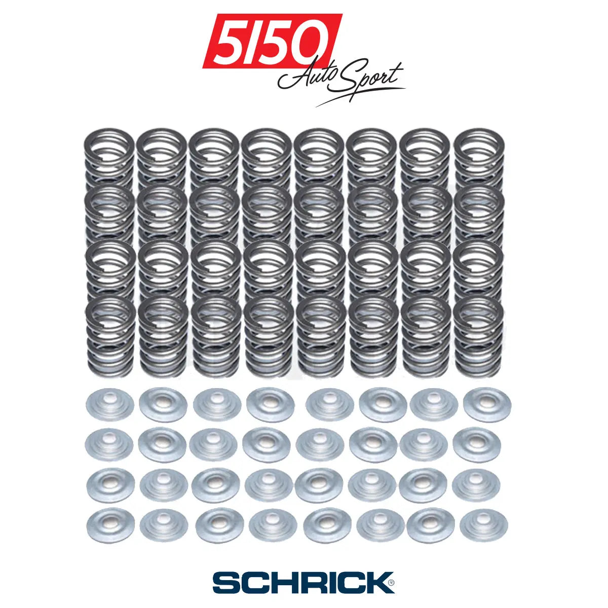 Schrick Valve Spring Kit for BMW S65 V8 Engines