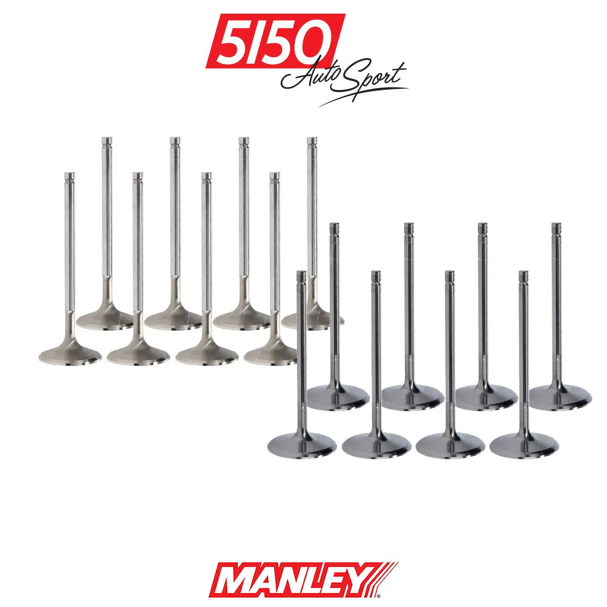 BMW M42 M44 Valve Set